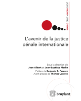 L'avenir de la justice pénale internationale
