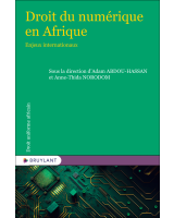 Droit du numérique en Afrique