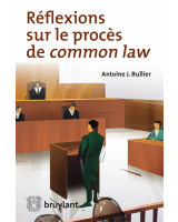 Réflexions sur le procès de <em>common law</em>