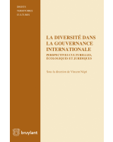 La diversité dans la gouvernance internationale 