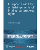 European Case Law on infringements of intellectual property rights