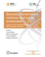 Business Government relations and social enterprises