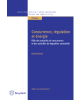 Concurrence, régulation et énergie