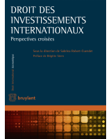 Droit des investissements internationaux