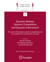 Dynamic Markets, Dynamic Competition and Dynamic Enforcement