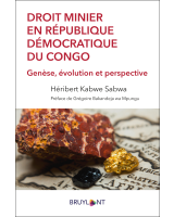 Droit minier en République démocratique du Congo