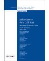 Jurisprudence de la CJUE 2018