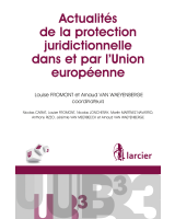 Actualités de la protection juridictionnelle dans et par l'Union européenne