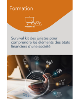 Formation – Survival Kit des juristes pour comprendre les éléments des états financiers d’une société