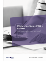 Déclaration fiscale 2022 : Sociétés