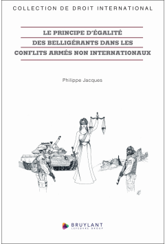 Le principe d'&eacute;galit&eacute; des bellig&eacute;rants dans les conflits arm&eacute;s non internationaux