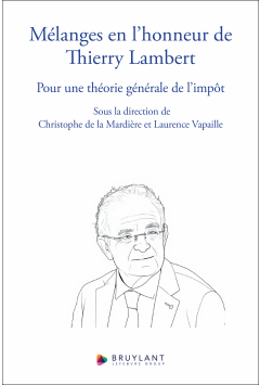 M&eacute;langes en l'honneur de Thierry Lambert