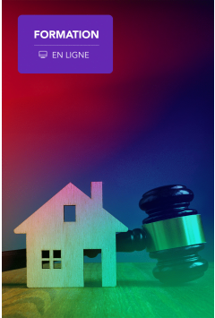 Webinaire – L’usufruit : un droit réel d’usage (trop ?) attractif ?