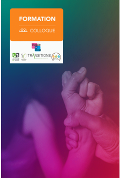 Violences intrafamiliales : comprendre, nommer, agir. Une approche interdisciplinaire et syst&eacute;mique