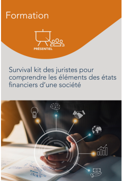 Formation – Survival Kit des juristes pour comprendre les éléments des états financiers d’une société
