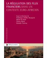 La régulation des flux financiers dans un contexte euro-africain
