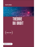Théorie du droit