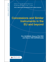 Concessions and Similar Instruments in the EU and beyond