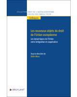 Les nouveaux objets du droit de l’Union européenne