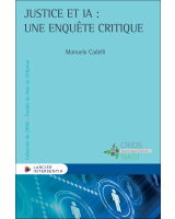 Justice et IA : une enquête critique