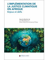 L’implémentation de la justice climatique en Afrique