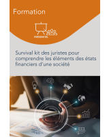Formation – Survival kit des juristes pour comprendre les éléments des états financiers d’une société