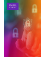 Webinar – Cyberveiligheid met NIS2 in België