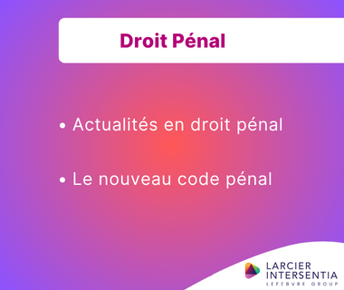 Droit p&eacute;nal